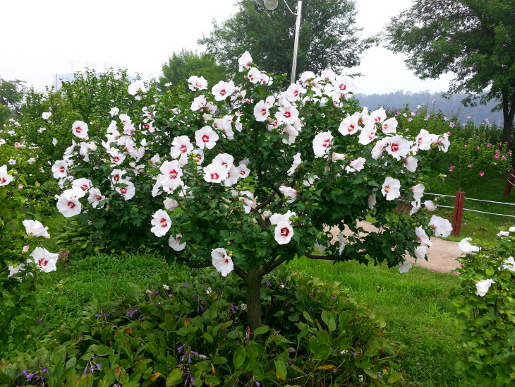 사진1. 안산호수공원(최우수상)