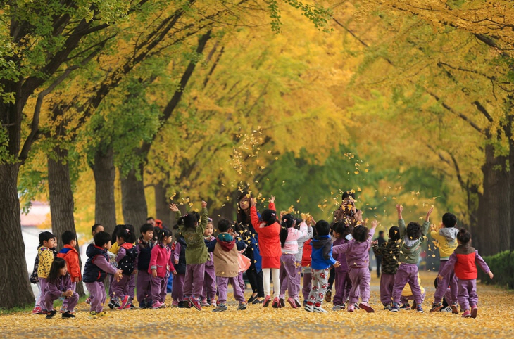 산림문학작품공모전 일반부 사진 대상