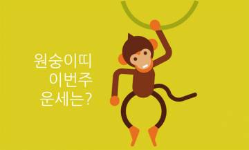 9원숭이