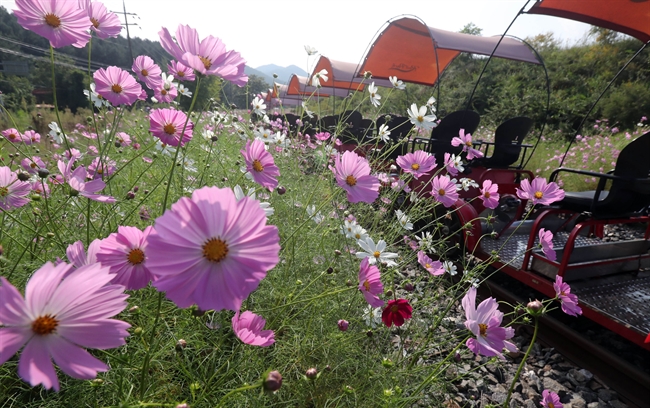 가을날씨