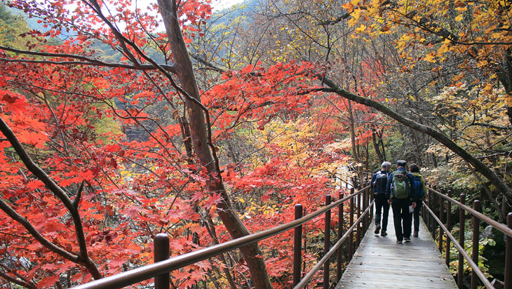 날씨