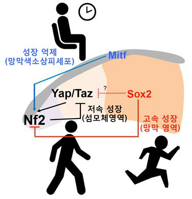 과학간지2