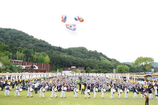 뿌리축제550