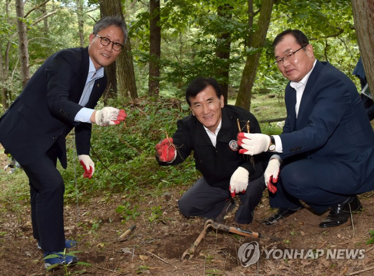 산림청장