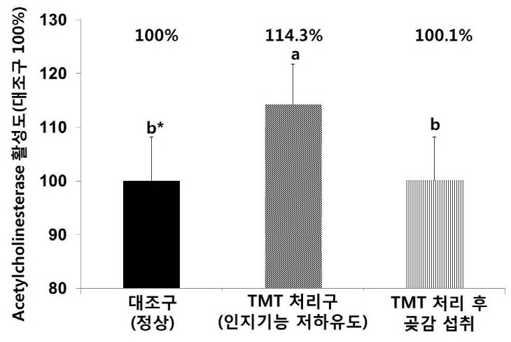 곶감 효능 조사