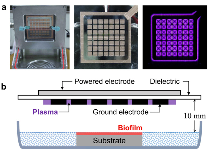 대기압 플라즈마를 이용한 바이오필름 저감 실험 개략도