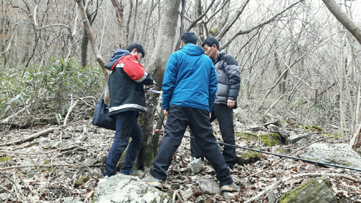 사진1. 고로쇠 수액 채취 호스 상태 점검