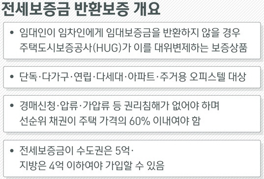 보증보험