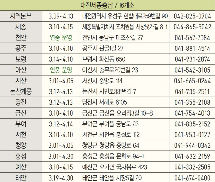 대전충청 나무시장