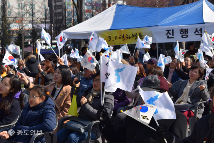 3.1절 태극기와 함께 등장한 한반도기